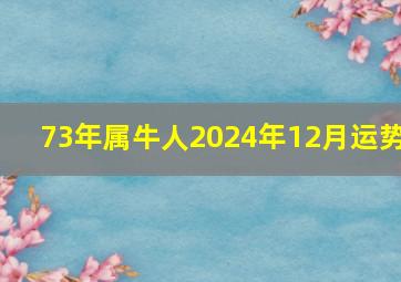 73年属牛人2024年12月运势