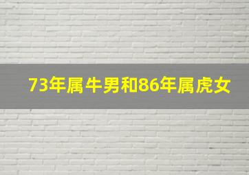 73年属牛男和86年属虎女