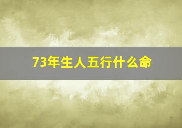 73年生人五行什么命