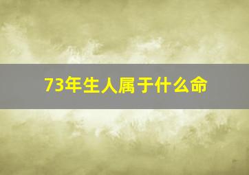 73年生人属于什么命