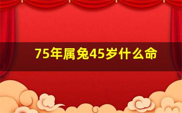 75年属兔45岁什么命