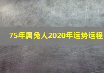 75年属兔人2020年运势运程