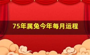 75年属兔今年每月运程