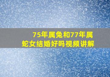 75年属兔和77年属蛇女结婚好吗视频讲解