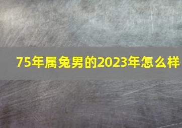 75年属兔男的2023年怎么样