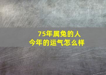 75年属兔的人今年的运气怎么样