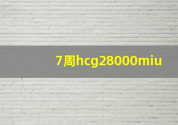 7周hcg28000miu