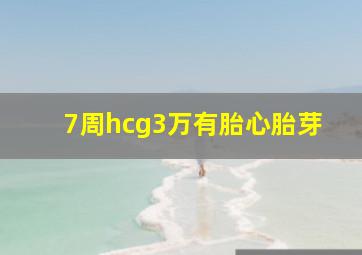 7周hcg3万有胎心胎芽