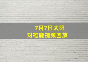 7月7日太阳对雄鹿视频回放