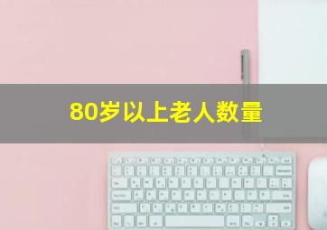 80岁以上老人数量