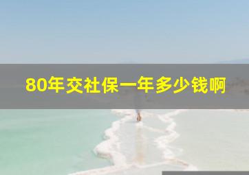 80年交社保一年多少钱啊