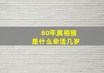 80年属相猴是什么命活几岁