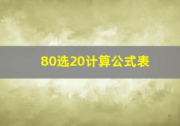 80选20计算公式表