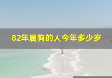 82年属狗的人今年多少岁