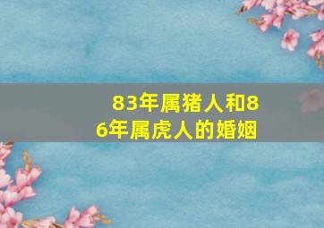 83年属猪人和86年属虎人的婚姻