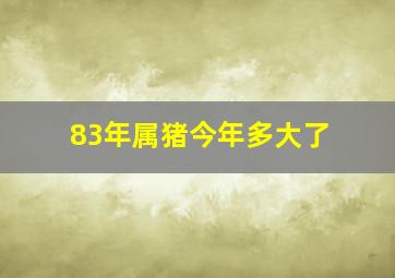 83年属猪今年多大了