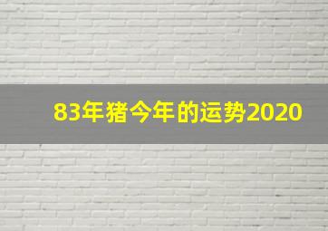 83年猪今年的运势2020