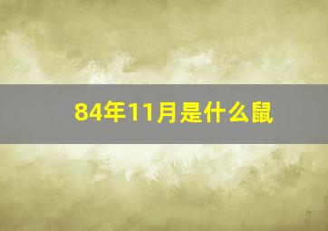 84年11月是什么鼠