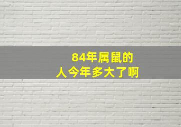 84年属鼠的人今年多大了啊