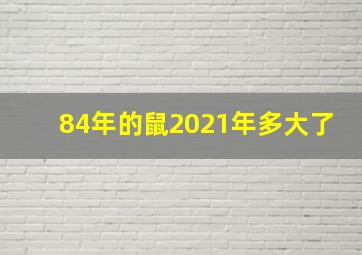 84年的鼠2021年多大了