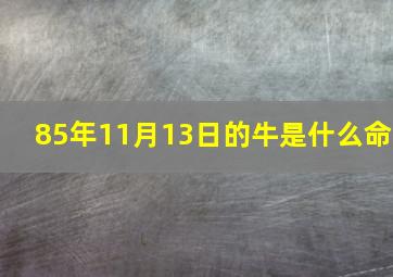 85年11月13日的牛是什么命