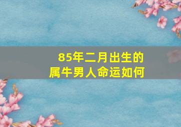 85年二月出生的属牛男人命运如何