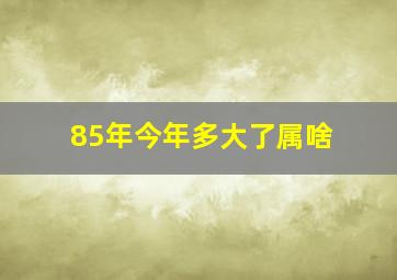 85年今年多大了属啥