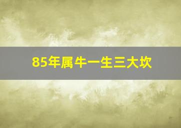 85年属牛一生三大坎