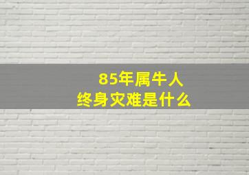 85年属牛人终身灾难是什么