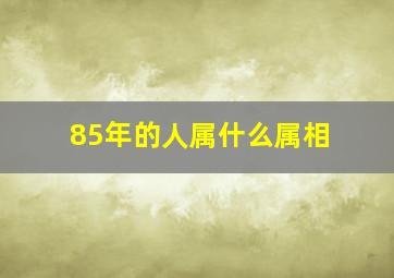 85年的人属什么属相