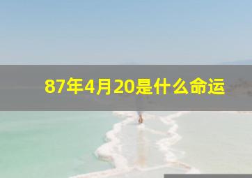 87年4月20是什么命运