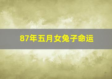 87年五月女兔子命运