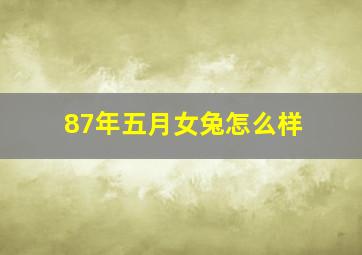 87年五月女兔怎么样