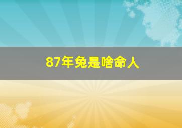 87年兔是啥命人