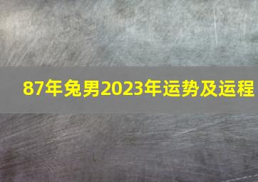 87年兔男2023年运势及运程