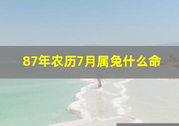 87年农历7月属兔什么命