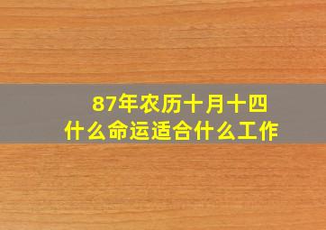 87年农历十月十四什么命运适合什么工作