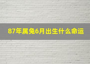 87年属兔6月出生什么命运