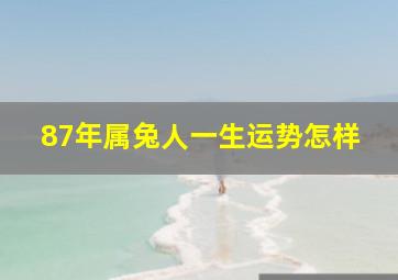 87年属兔人一生运势怎样