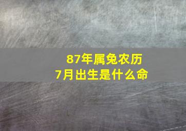 87年属兔农历7月出生是什么命