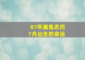 87年属兔农历7月出生的命运