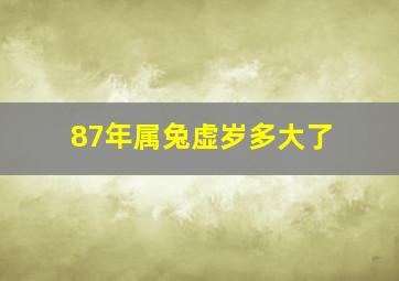 87年属兔虚岁多大了