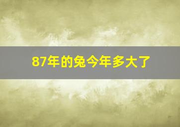 87年的兔今年多大了