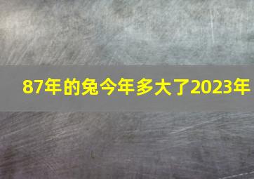 87年的兔今年多大了2023年