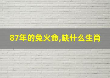 87年的兔火命,缺什么生肖