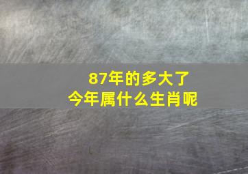 87年的多大了今年属什么生肖呢