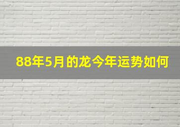 88年5月的龙今年运势如何