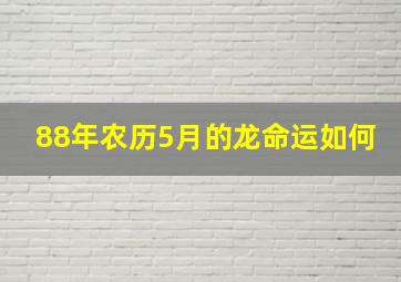 88年农历5月的龙命运如何