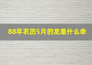 88年农历5月的龙是什么命