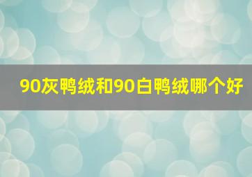 90灰鸭绒和90白鸭绒哪个好